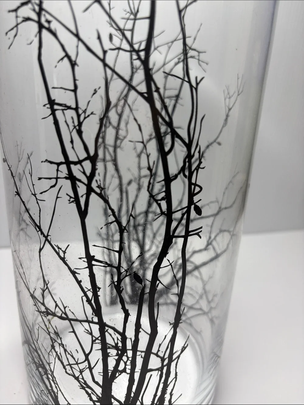 Glass Vase 6” x 14.5” with Black Branches